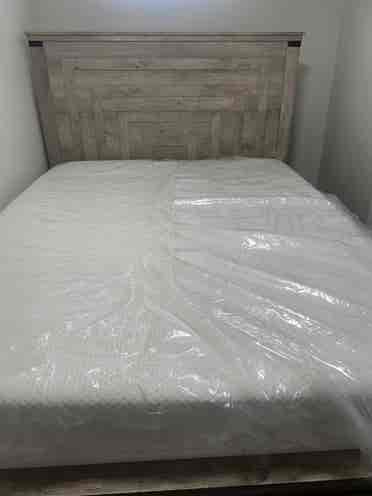 Private Basement w/Shower furnished