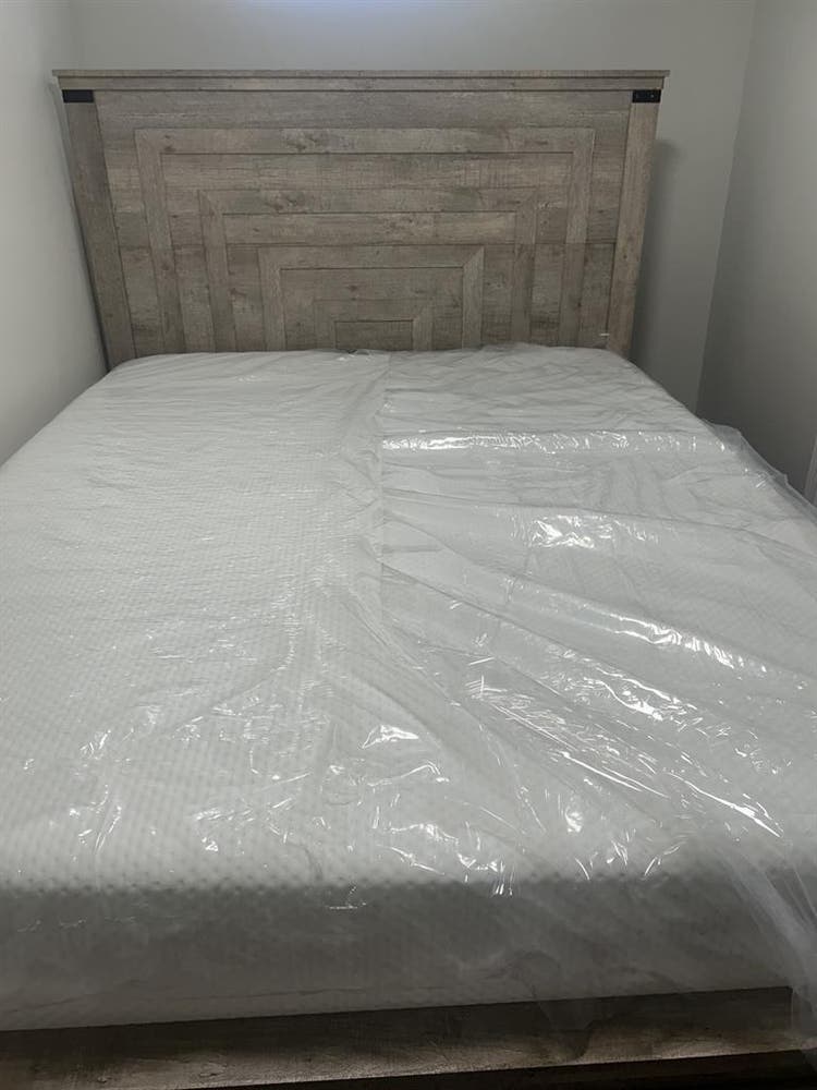 Private Basement w/Shower furnished