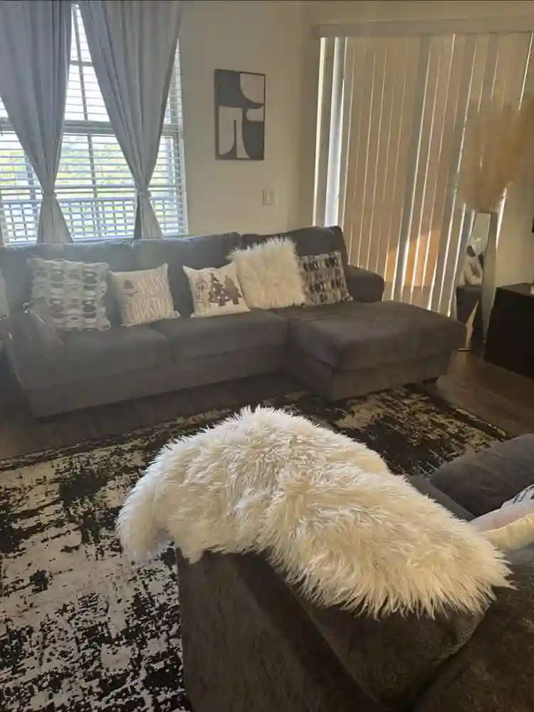 No Deposit
Females only avail. Dec