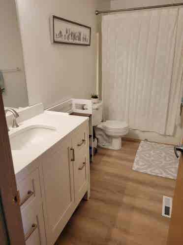Roommate wanted - professionals