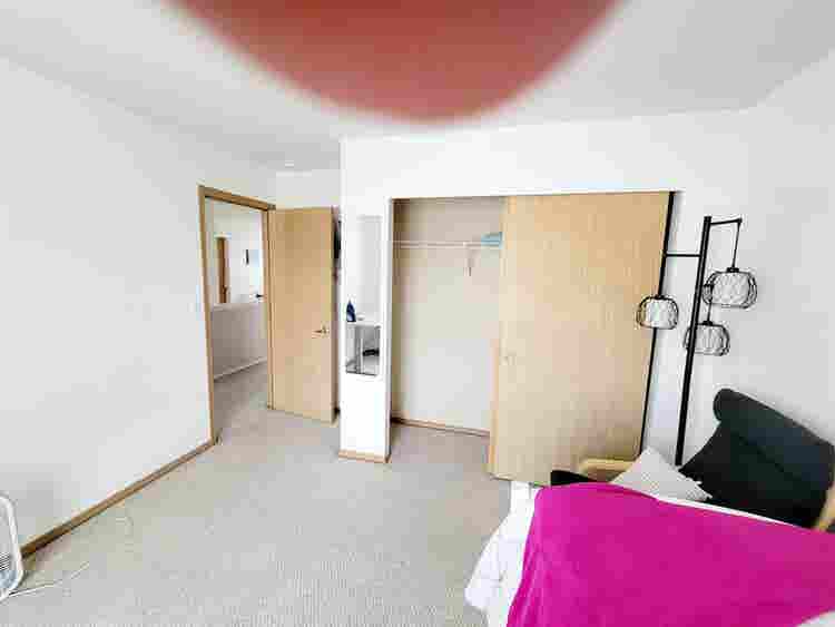 Roommate wanted - professionals
