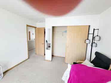 Roommate wanted - professionals