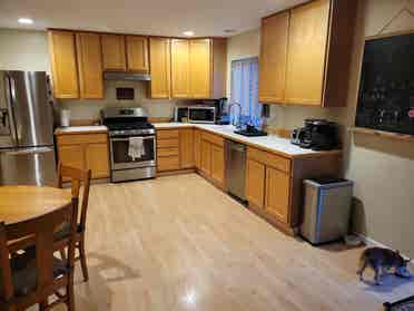 Roommate wanted - professionals
