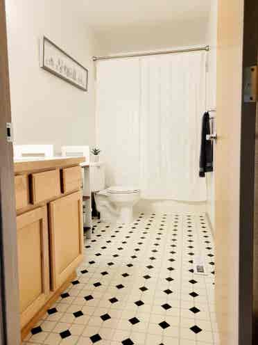 Roommate wanted - professionals