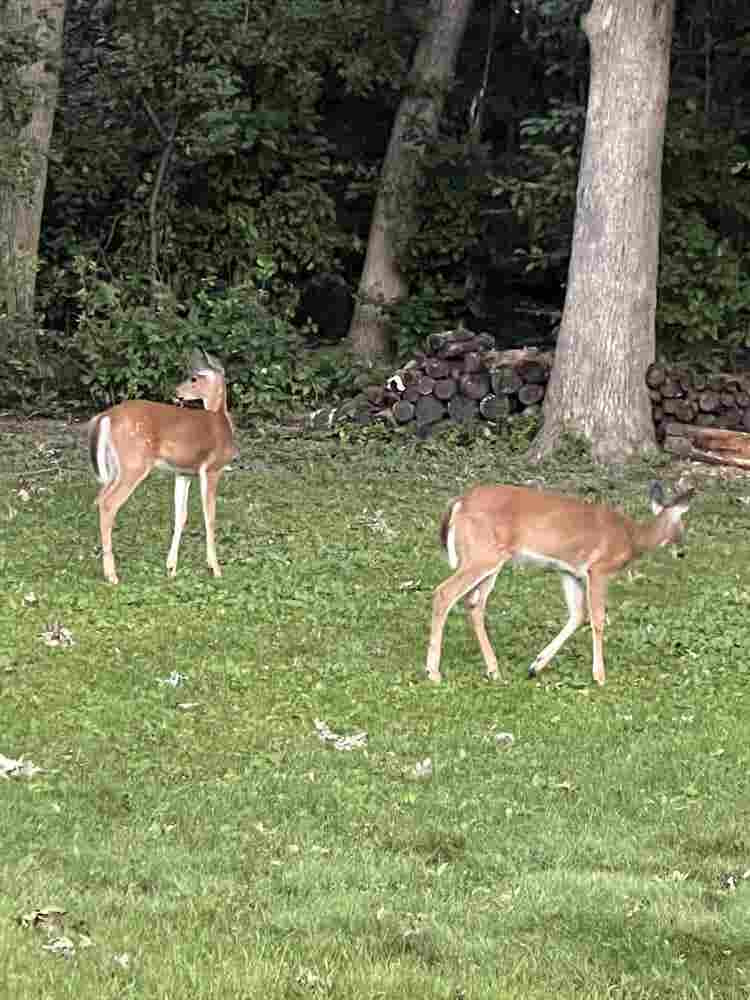 Furnished room in upscale home