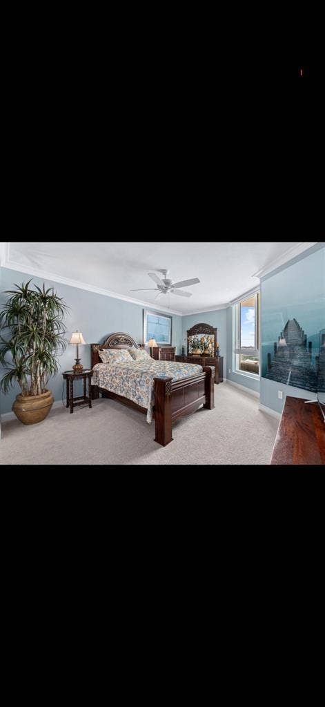 Luxury room on the Halifax river