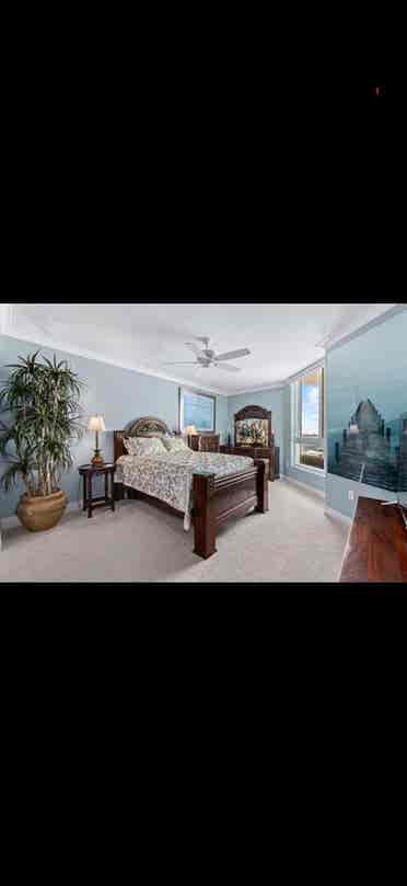 Luxury room on the Halifax river