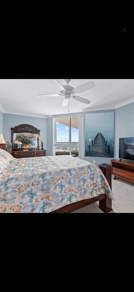 Luxury room on the Halifax river