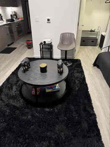 Sublet in Heart of Wynwood! Aug-Jan