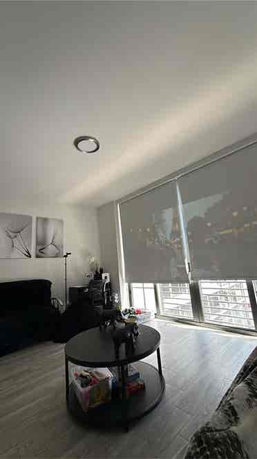 Sublet in Heart of Wynwood! Aug-Jan