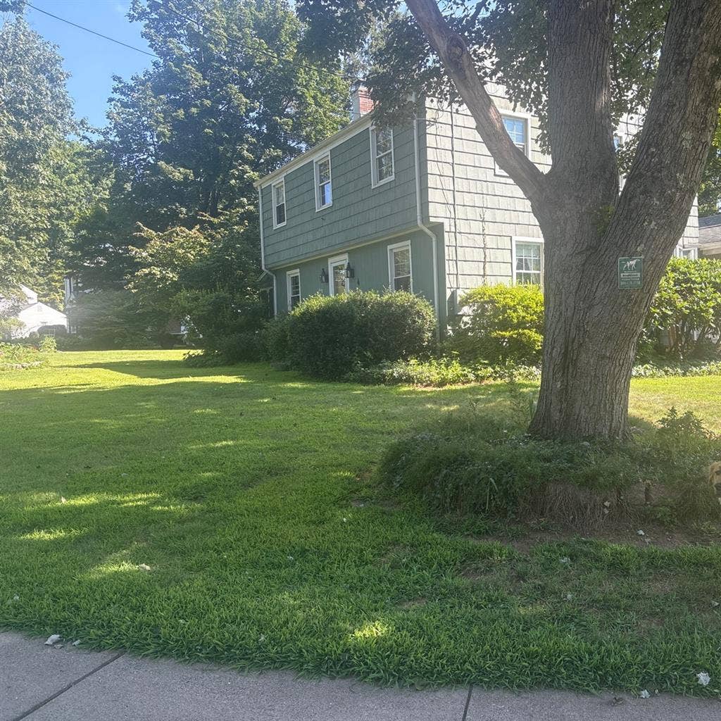 1 bedroom and
study suburban house