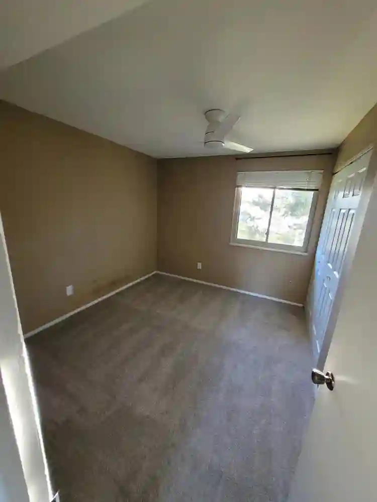 Room for rent in Niwot, CO.