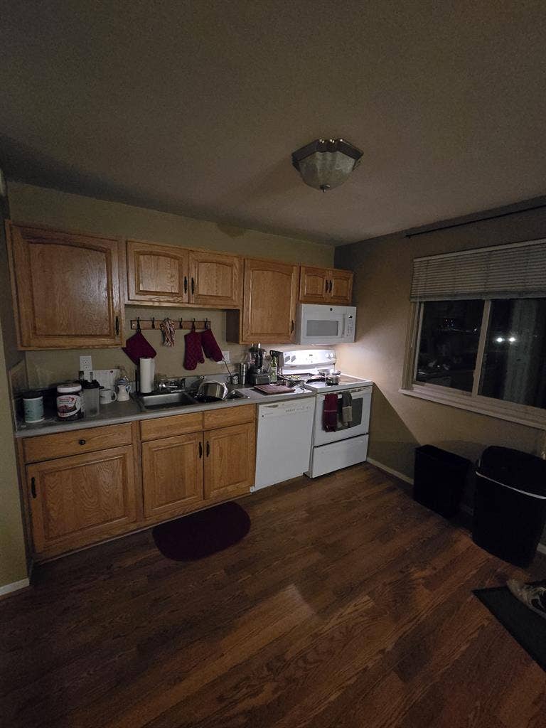 Room for rent in Niwot, CO.