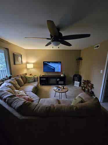 Room for rent in Niwot, CO.
