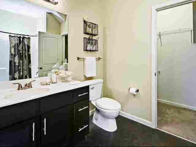 Room for Rent near MTSU