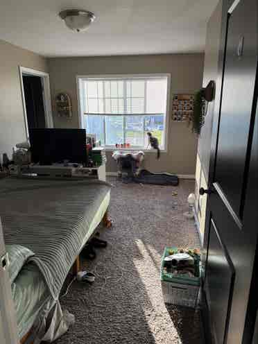 NEED A SUBLET URGENTLY