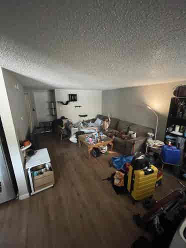 Looking to sublet my room!