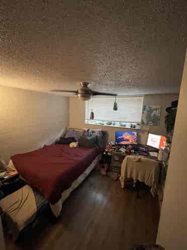 Looking to sublet my room!
