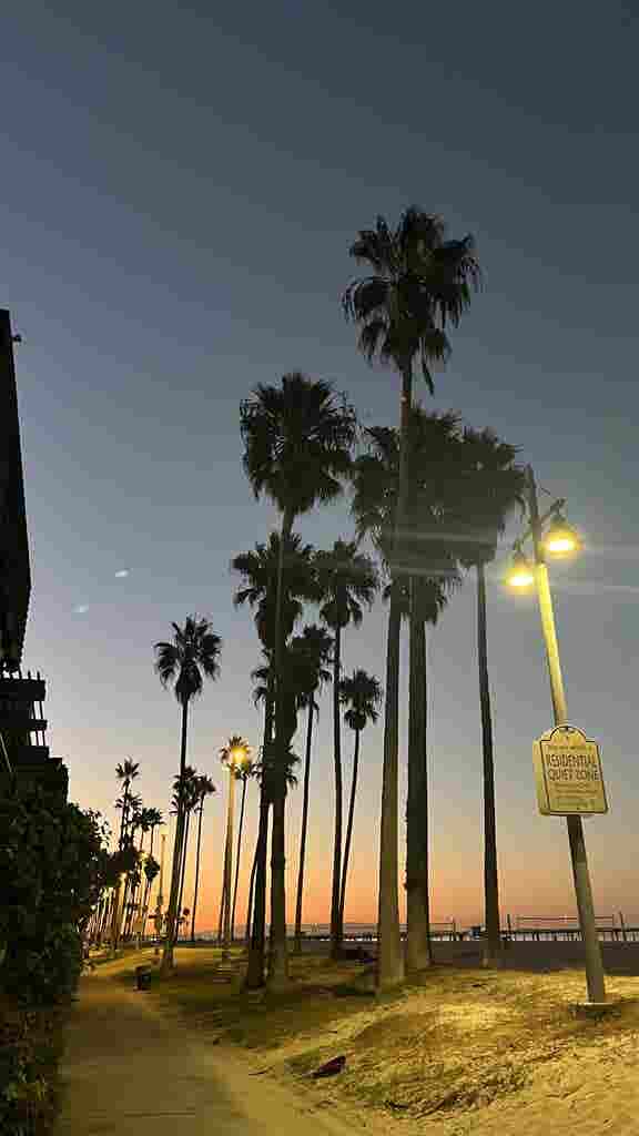 VENICE ROOMMATE WANTED 🌴🌊🌺
