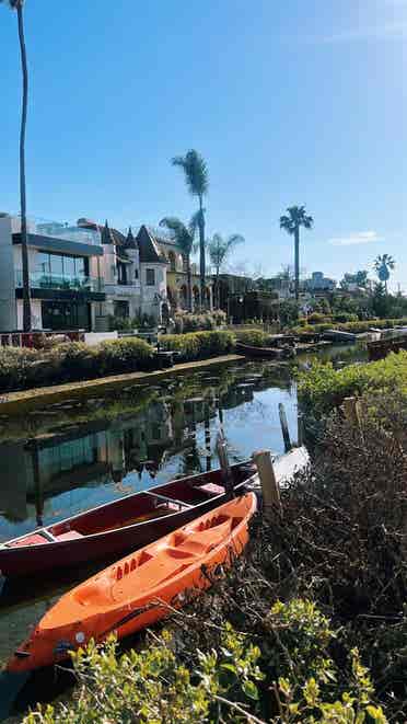 VENICE ROOMMATE WANTED 🌴🌊🌺