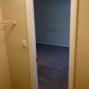 Roommate wanted !