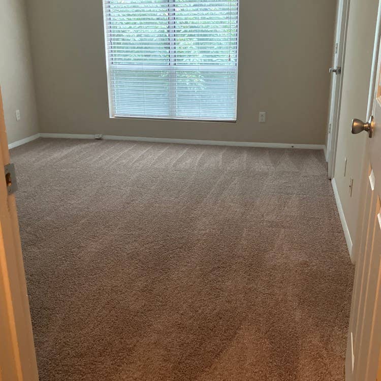 Roommate wanted !
