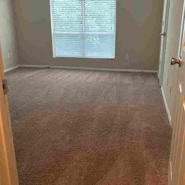 Room for rent!