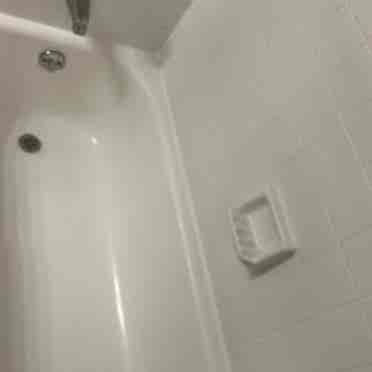 Roommate wanted !