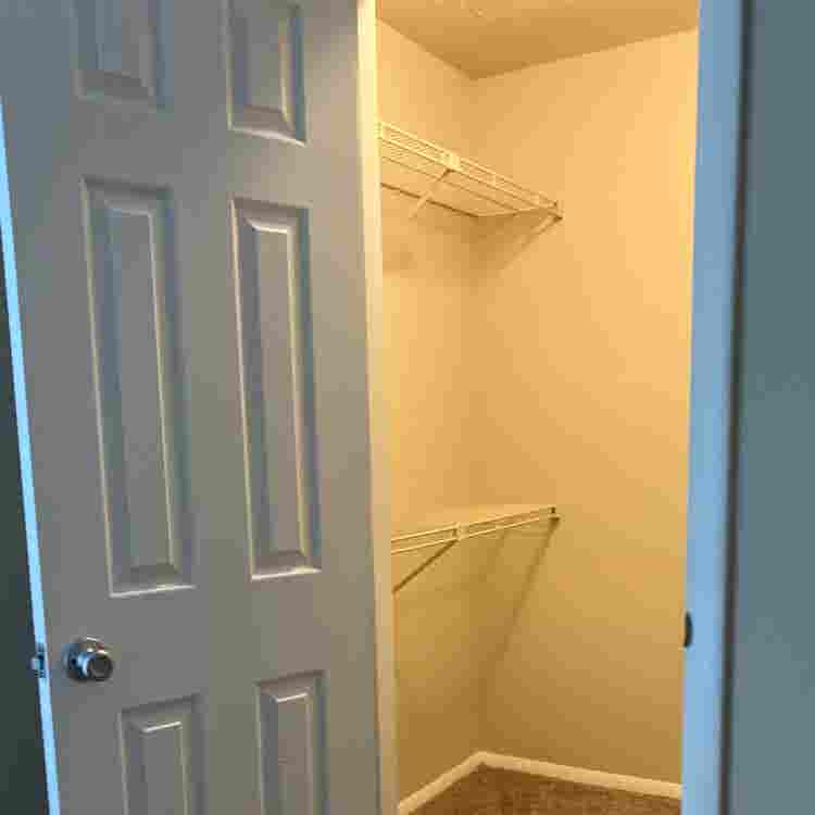 Room for rent!