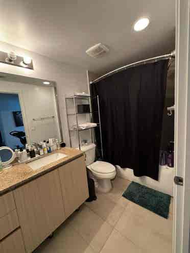 Room for Rent Downtown Miami