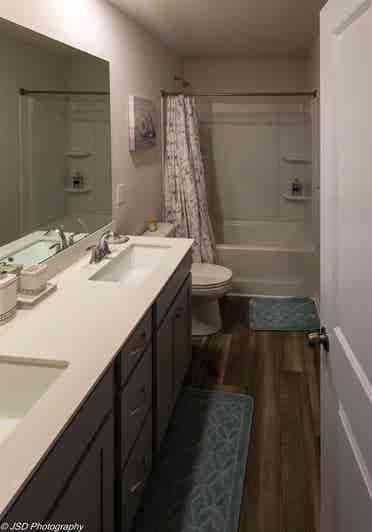 Roommate wanted