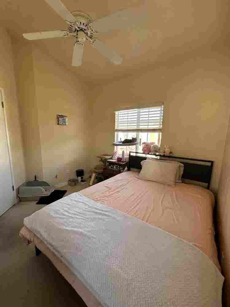 Looking for Roommate for