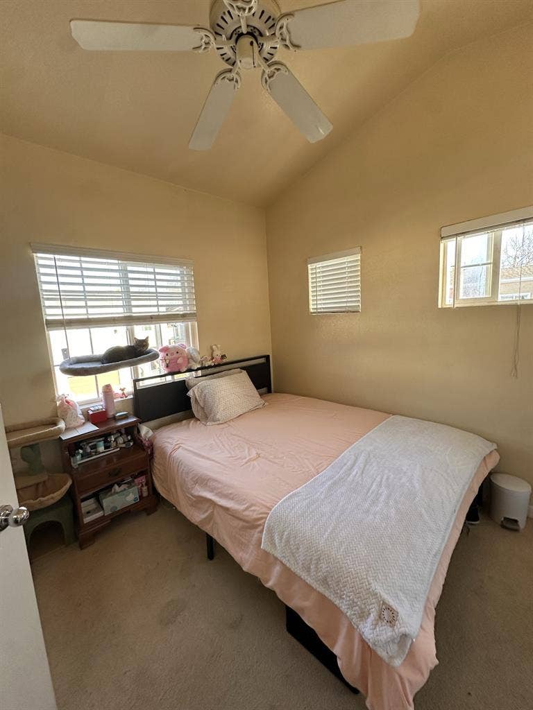 Looking for Roommate for