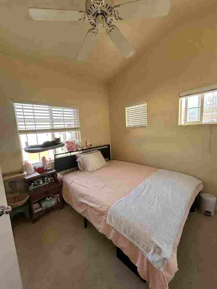 Looking for Roommate for