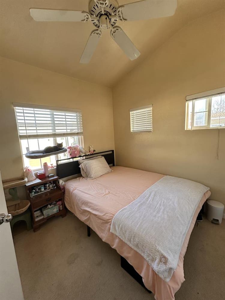 Looking for Roommate for