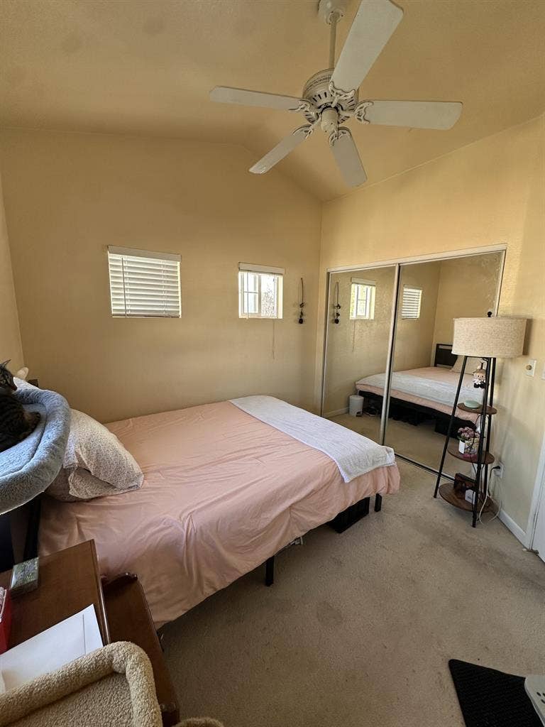 Looking for Roommate for