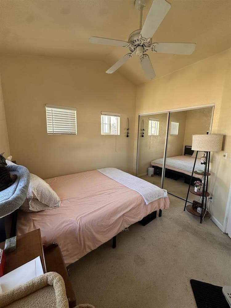 Looking for Roommate for
