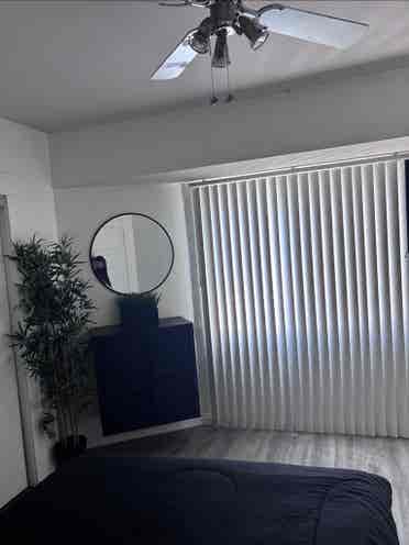 Looking for a tenant