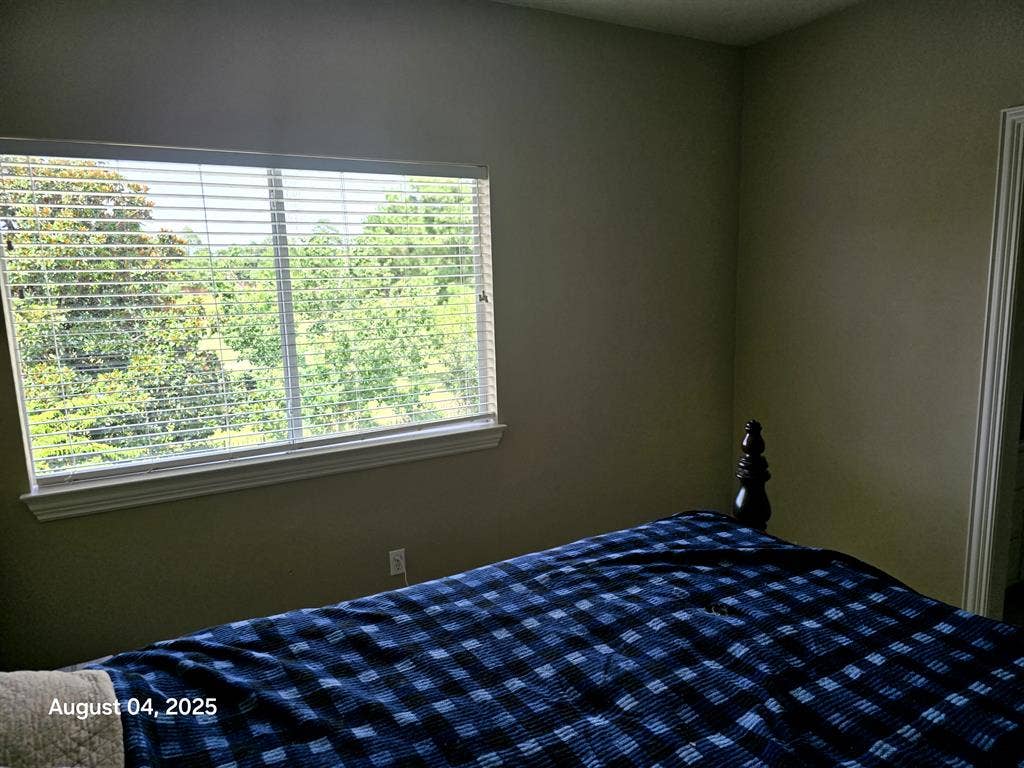 Seeking professional cool roommate