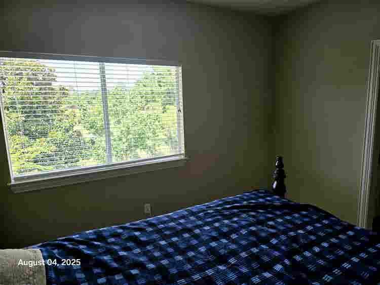 Seeking professional cool roommate