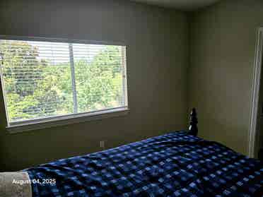 Seeking professional cool roommate