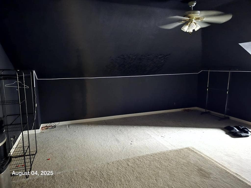 Seeking professional cool roommate