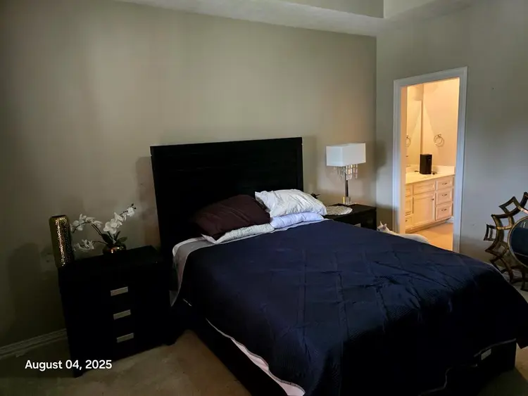 Seeking professional cool roommate