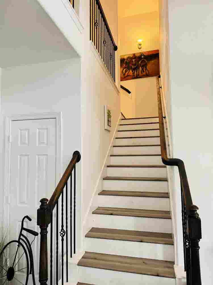 Homely one bedroom