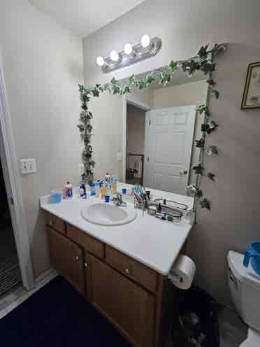 3 single rooms available for rent