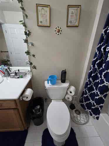3 single rooms available for rent