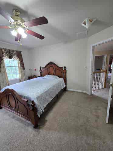 3 single rooms available for rent