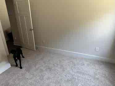 Room in newer Simpsonville house