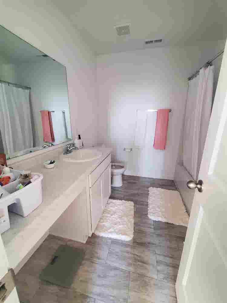 Roommate wanted