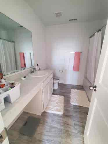 Roommate wanted